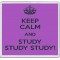 Keep Calm and Study Study Study! - Large Coaster