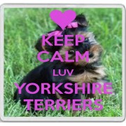 Keep Calm Luv Yorkshire Terriers - Large Coaster