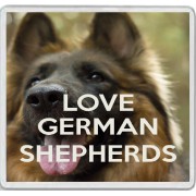 Love German Shepherds - Large Coaster