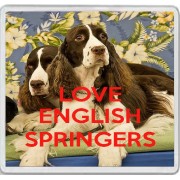 Love English Springers - Large Coaster