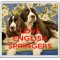 Love English Springers - Large Coaster