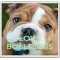 Love Bulldogs - Large Coaster