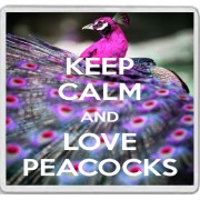 Keep Calm and Love Peacocks - Large Coaster