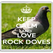Keep Calm and Love Rock Doves - Large Coaster