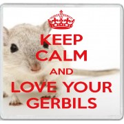 Keep Calm and Love Your Gerbils - Large Coaster