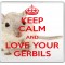 Keep Calm and Love Your Gerbils - Large Coaster
