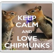 Keep Calm and Love Chipmunks - Large Coaster