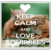 Keep Calm and Love Squirrels - Large Coaster