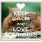 Keep Calm and Love Squirrels - Large Coaster