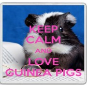 Keep Calm and Love Guinea Pigs - Large Coaster