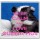 Keep Calm and Love Guinea Pigs - Large Coaster