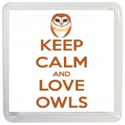 Keep Calm and Love Owls - Small Coaster