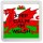 Keep Calm I'm Welsh - Small Coaster