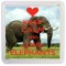 Keep Calm and Love Elephants - Small Coaster