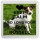Keep Calm and Love Your Jack Russell - Small Coaster