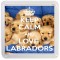Keep Calm and Love Labradors - Small Coaster