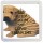 Keep Calm and Love Shar Pei - Small Coaster