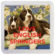 Love English Springers - Small Coaster