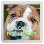 Love Bulldogs - Small Coaster
