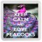 Keep Calm and Love Peacocks - Small Coaster