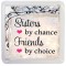 Sisters by Chance Friends by Choice - Small Coaster