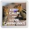 Keep Calm and Love Chipmunks - Small Coaster
