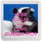Keep Calm and Love Guinea Pigs - Small Coaster
