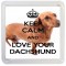 Keep Calm and Love Your Dachshund - Small Coaster