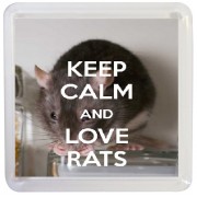Keep Calm and Love Rats - Small Coaster