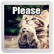 Please - Small Coaster