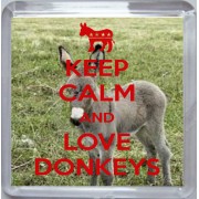 Keep Calm and Love Donkeys - Small Coaster