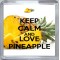 Keep Calm and Love Pineapple - Small Coaster