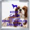 Keep Calm and Love King Charles Spaniels - Small Coaster