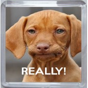 Really! - Small Coaster