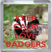 Keep Calm and Love Badgers - Small Coaster