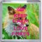 Keep Calm and Love Foxes - Small Coaster