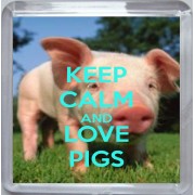Keep Calm and Love Pigs - Small Coaster