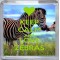 Keep Calm and Love Zebras - Small Coaster