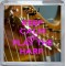 Keep Calm and Play the Harp - Small Coaster