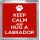 Keep Calm and Hug a Labrador - Small Coaster