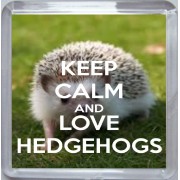 Keep Calm and Love Hedgehogs - Small Coaster