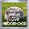 Keep Calm and Love Hedgehogs - Small Coaster