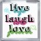 Live Life Laugh Lots Love Forever - Small Coaster