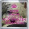 Keep Calm and Hug Your Old English Sheepdog - Small Coaster