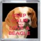 Keep Calm and Love a Beagle - Small Coaster