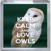 Keep Calm and Love Owls - Small Coaster