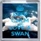Keep Calm and Love a Swan - Small Coaster