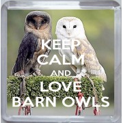 Keep Calm and Love Barn Owls - Small Coaster