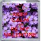 Keep Calm and be My Valentine - Small Coaster