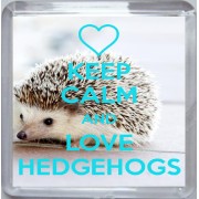 Keep Calm and Love Hedgehogs - Small Coaster